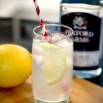 Tom Collins in tumbler posed with London Dry Gin and lemon.