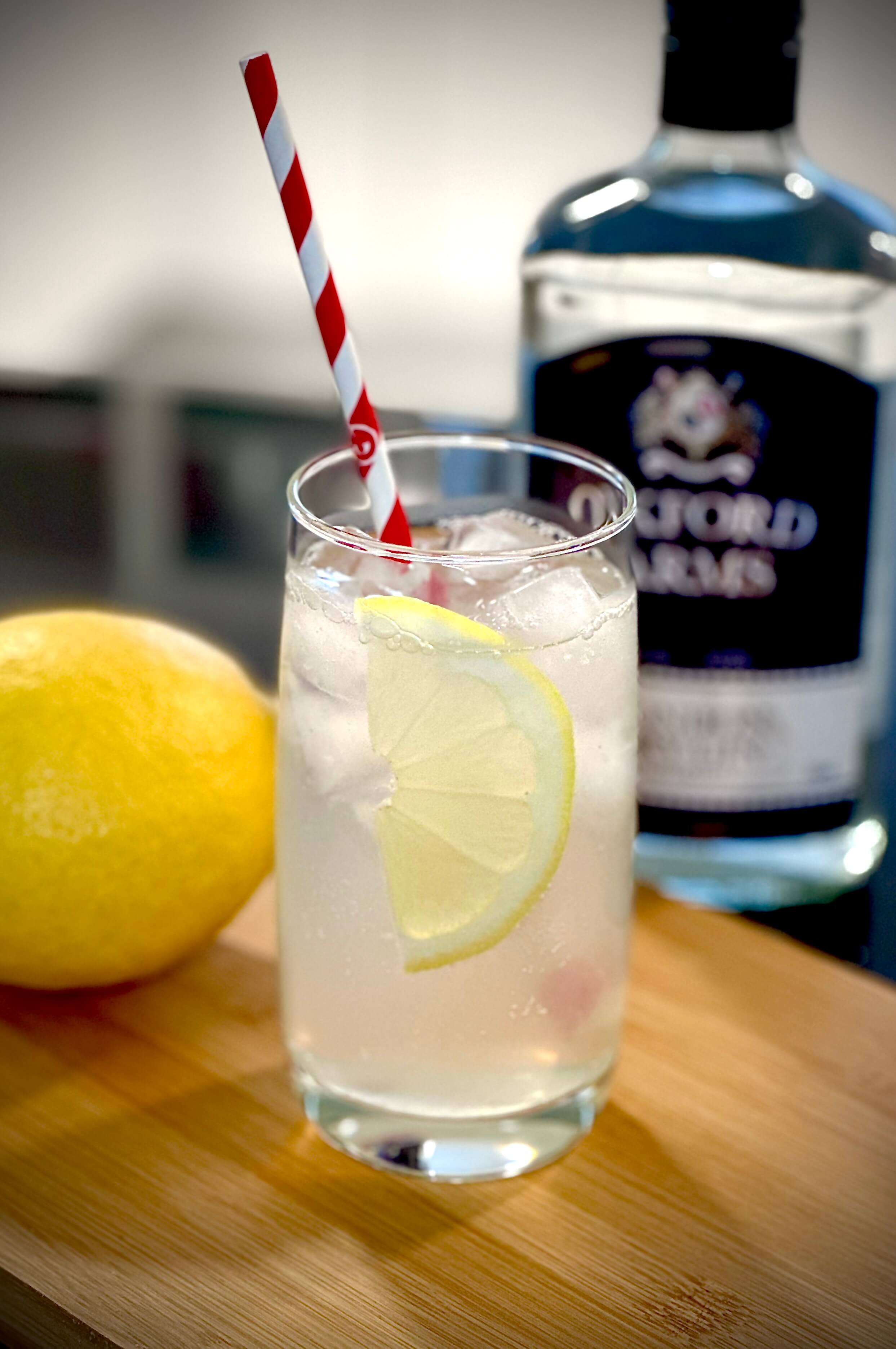 Tom Collins in tumbler posed with London Dry Gin and lemon.